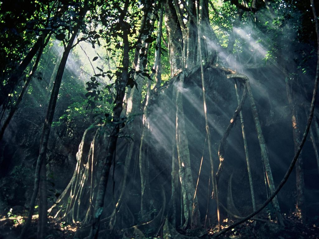 云南旅游,西雙版納