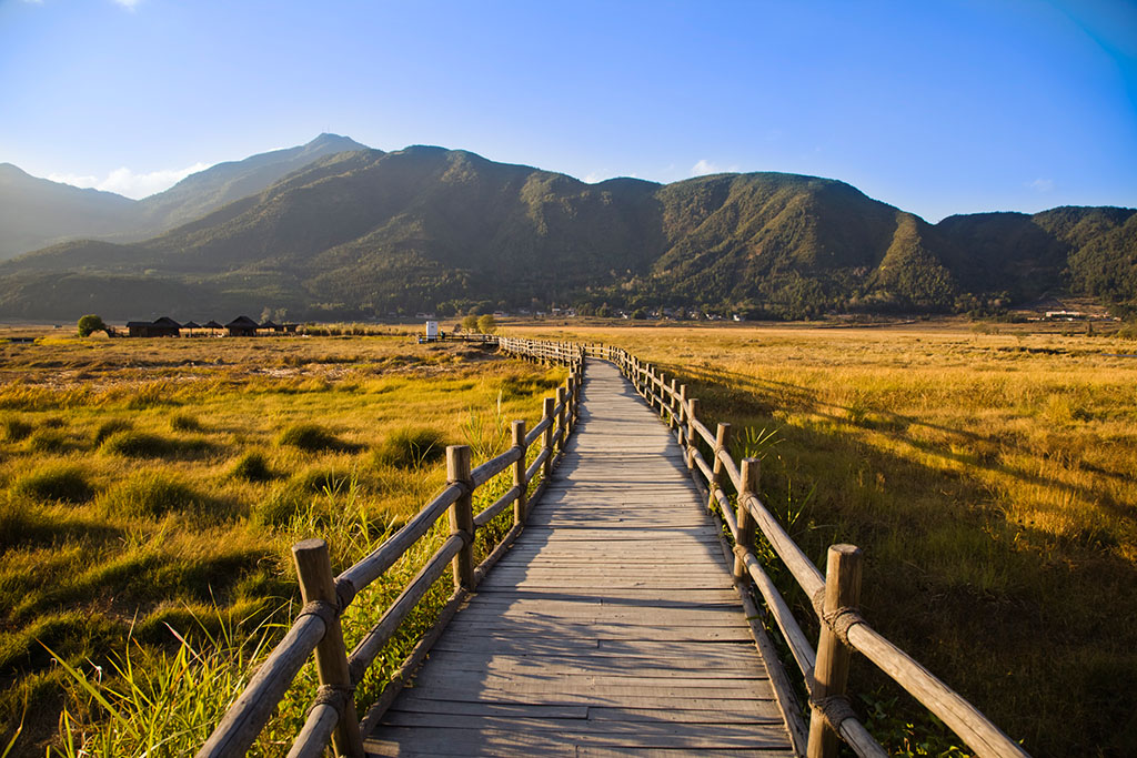 騰沖旅游,重慶中國青年旅行社
