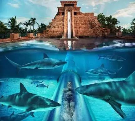 重慶旅游哪家好?