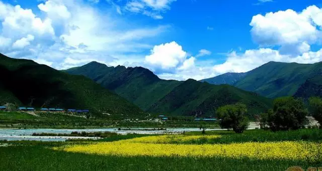 幽谷秘境，花香滿溢