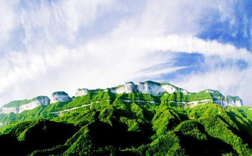 金佛山春 金佛山春