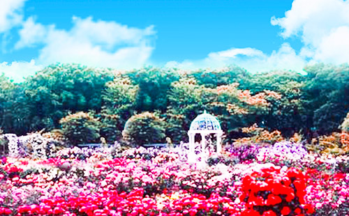 亞龍灣國際玫瑰谷