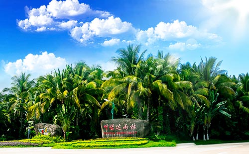 呀諾達熱帶雨林1