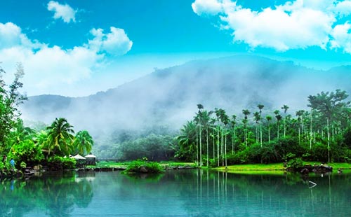 呀諾達(dá)熱帶雨林