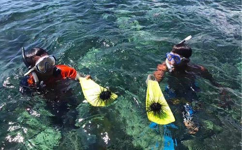民丹島潛水