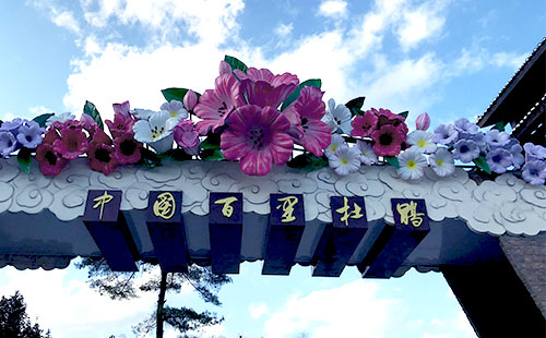 貴州百里杜鵑風景區2