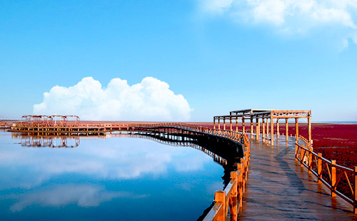 遼寧紅海灘國家風景廊道