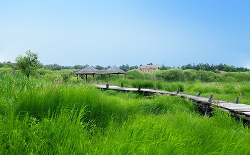 太陽島風景區(qū)2