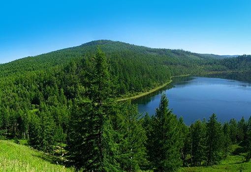 阿爾山國家森林公園2