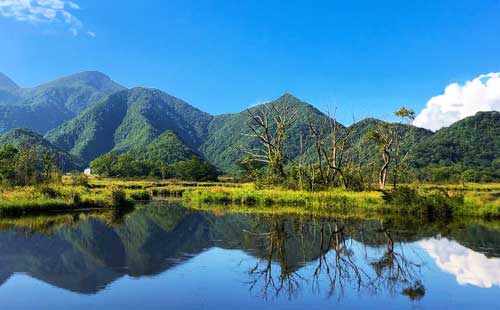 神農(nóng)架大九湖國家濕地公園