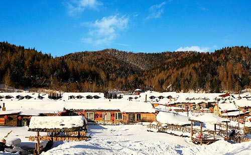 雪鄉國家森林公園1