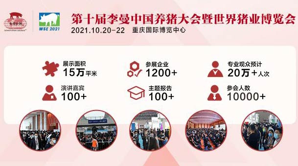 世界豬業博覽會