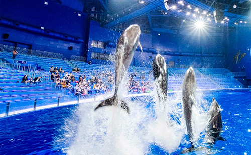 無錫融創海世界