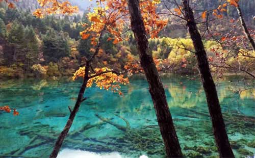 九寨溝6 九寨溝6