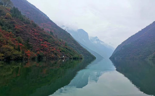 三峽紅葉季 三峽紅葉季